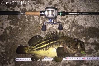 ���ޥ���