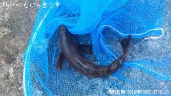 �����ʥ�