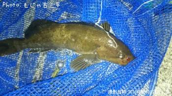 �����ʥ�