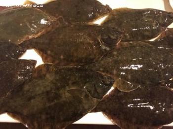 ¥Þ¥³¥¬¥ì¥¤