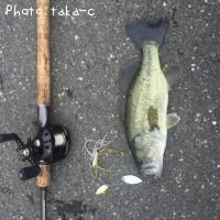 ¥Ö¥é¥Ã¥¯¥Ð¥¹