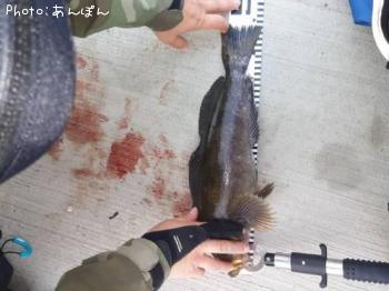 �����ʥ�