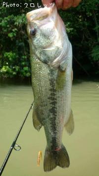 ¥Ö¥é¥Ã¥¯¥Ð¥¹