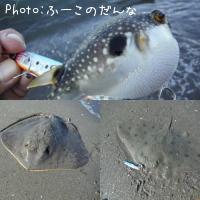 �����ճ�ƻ