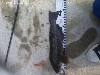 �����ʥ�