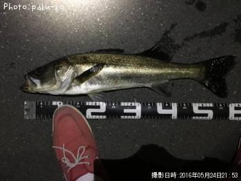 �����Х�