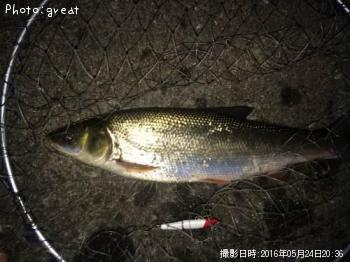 �ޥ륿������