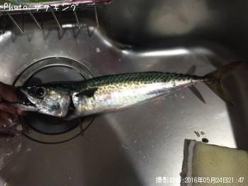 ���ޥ���