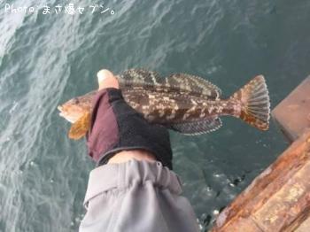 �����ʥ�