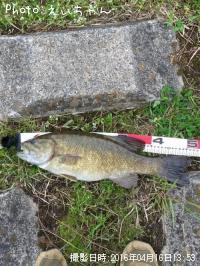 ���⡼��ޥ����Х�