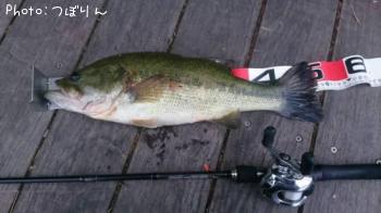 �֥�å��Х�