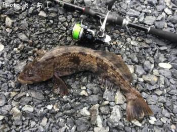 �����ʥ�