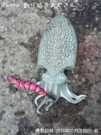 ¥·¥ê¥ä¥±¥¤¥«