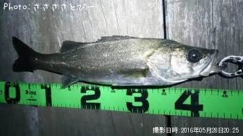 �����Х�����Х�