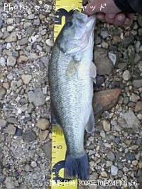 ¥Ö¥é¥Ã¥¯¥Ð¥¹