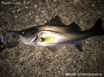 �����Х�