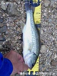 ¥Ö¥é¥Ã¥¯¥Ð¥¹