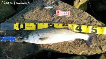 �����Х�