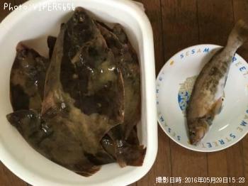 �ޥ����쥤�������ʥ�