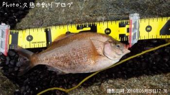 ���ߥ��ʥ�