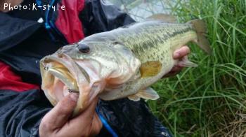 �֥�å��Х�