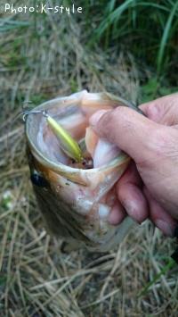 �֥�å��Х�