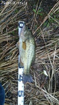 �֥�å��Х�