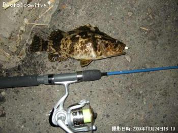 ¥¿¥±¥Î¥³¥á¥Ð¥ë