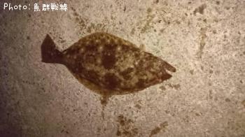 �ҥ��