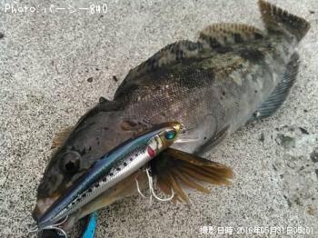 �����ʥ�