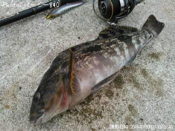 �����ʥ�