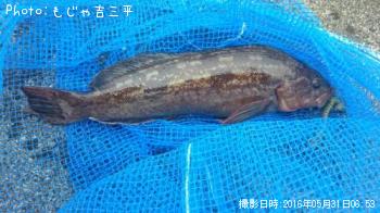 �����ʥ�