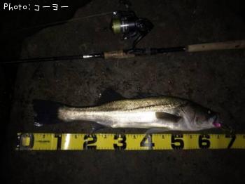 �����Х�