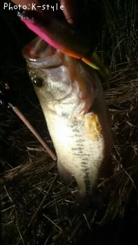 �֥�å��Х�