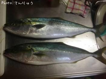 ¥¤¥Ê¥À