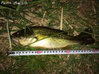 �֥�å��Х�