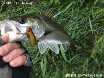 �����Х�