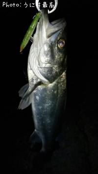 �����Х�