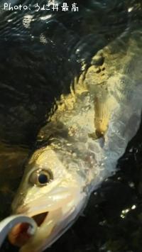 �����Х�