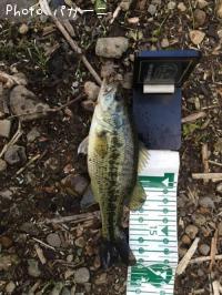 �֥�å��Х�