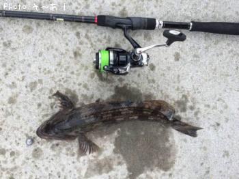 �����ʥ�