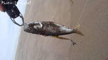 ���Υ���