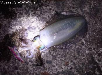 �����ꥤ��