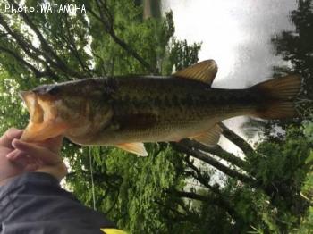 ¥Ö¥é¥Ã¥¯¥Ð¥¹