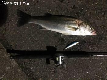 �����Х�