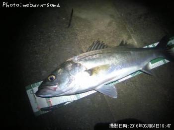 �����Х�