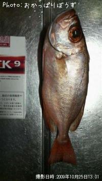 ����ȥ�����