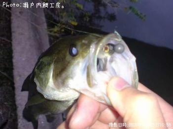 �֥�å��Х�