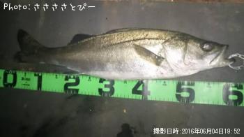 �����Х�����Х�