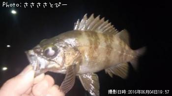 �����Х�����Х�